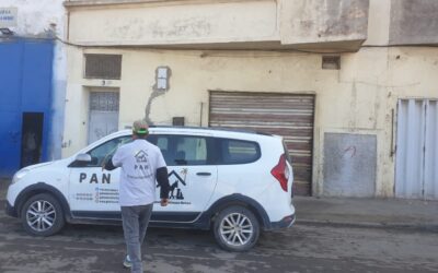 9 gatti recuperati a Casablanca (English below)