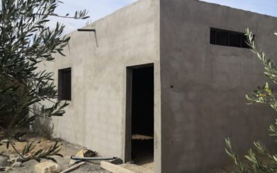 La casa dei gatti è da completare: ci date una mano? English text below